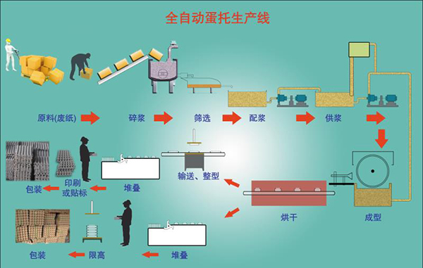 蛋托生产线需要多少钱？